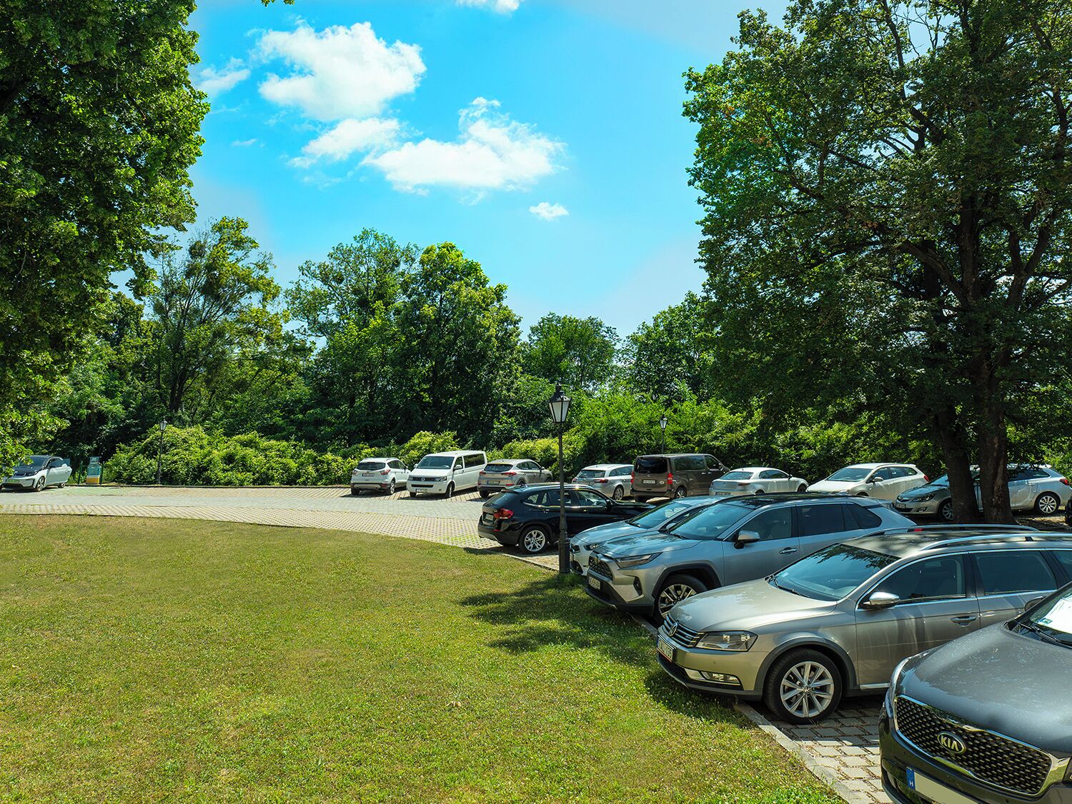 A parking lot with multiple cars parked, surrounded by trees and a clear sky.