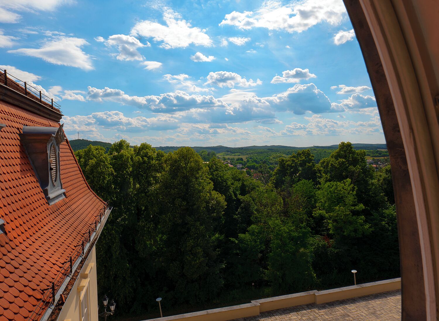 Vista desde una ventana sobre un área boscosa y un cielo despejado.