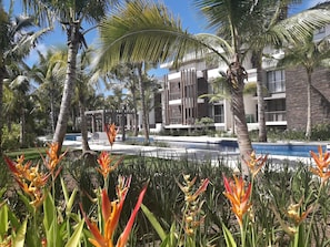 Jardim