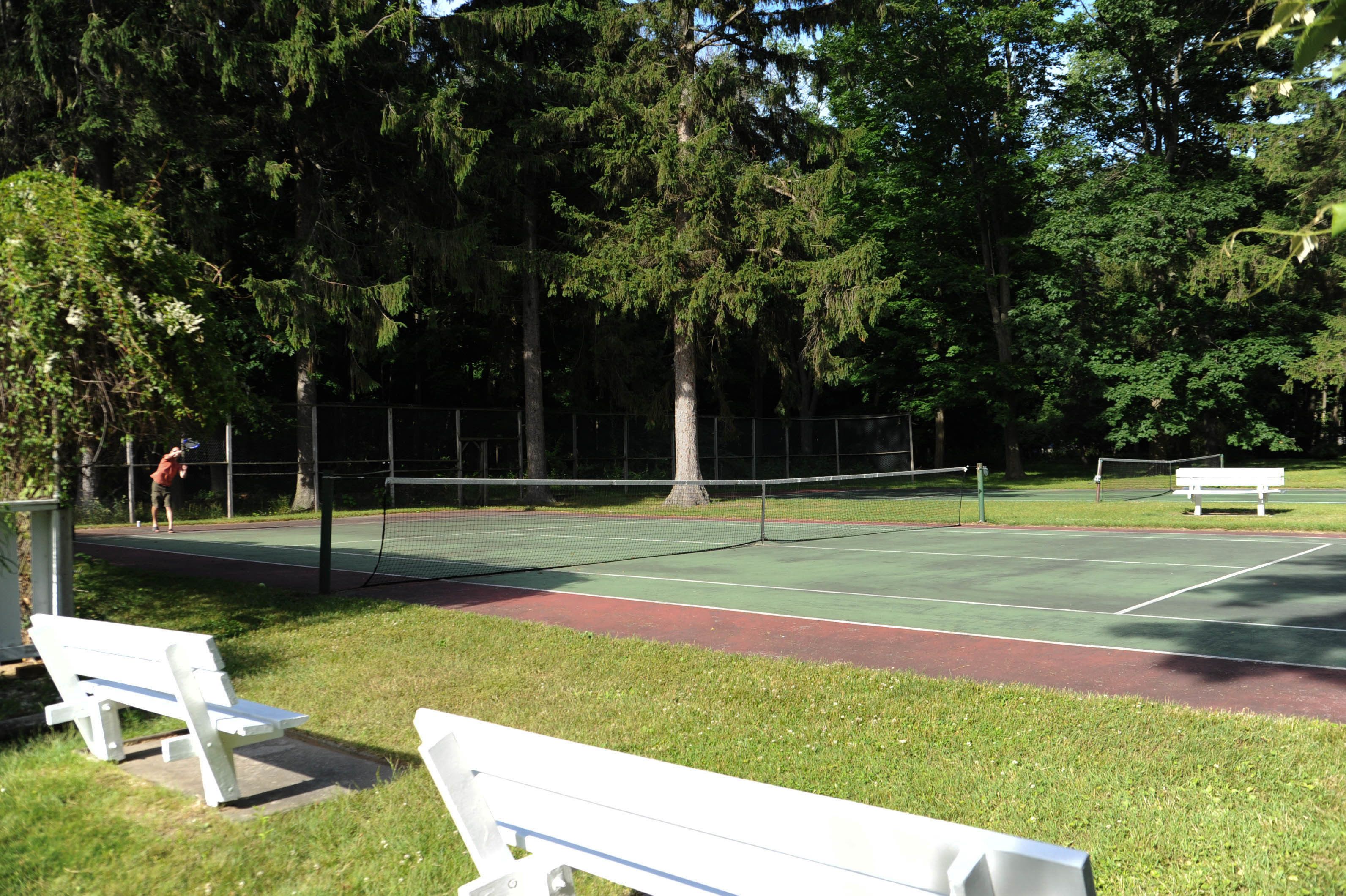Ein Tennisplatz mit Netz, Bänken und Bäumen im Hintergrund.
