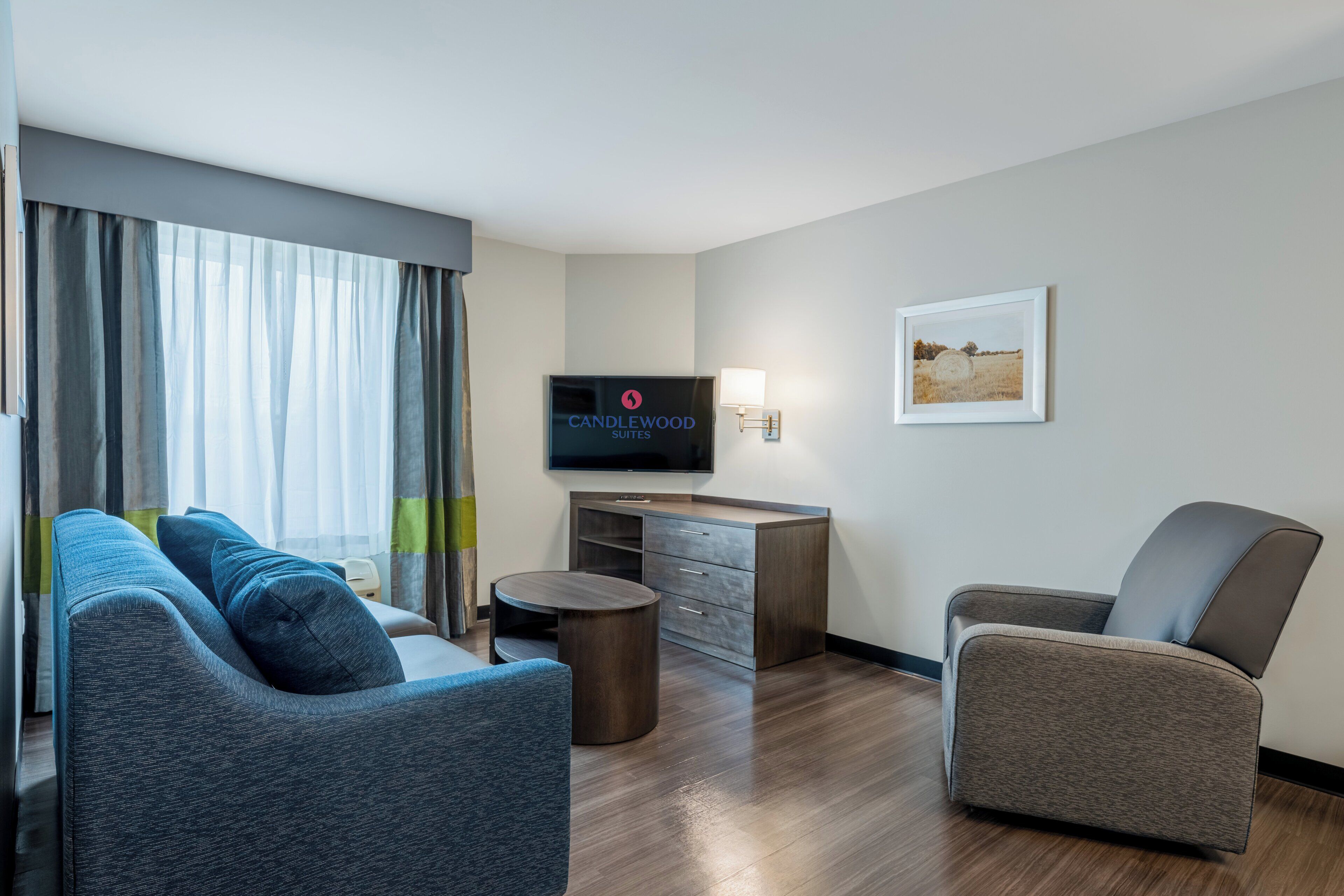 A modern hotel room with a sofa, a chair, a desk, a television, and a framed picture on the wall.