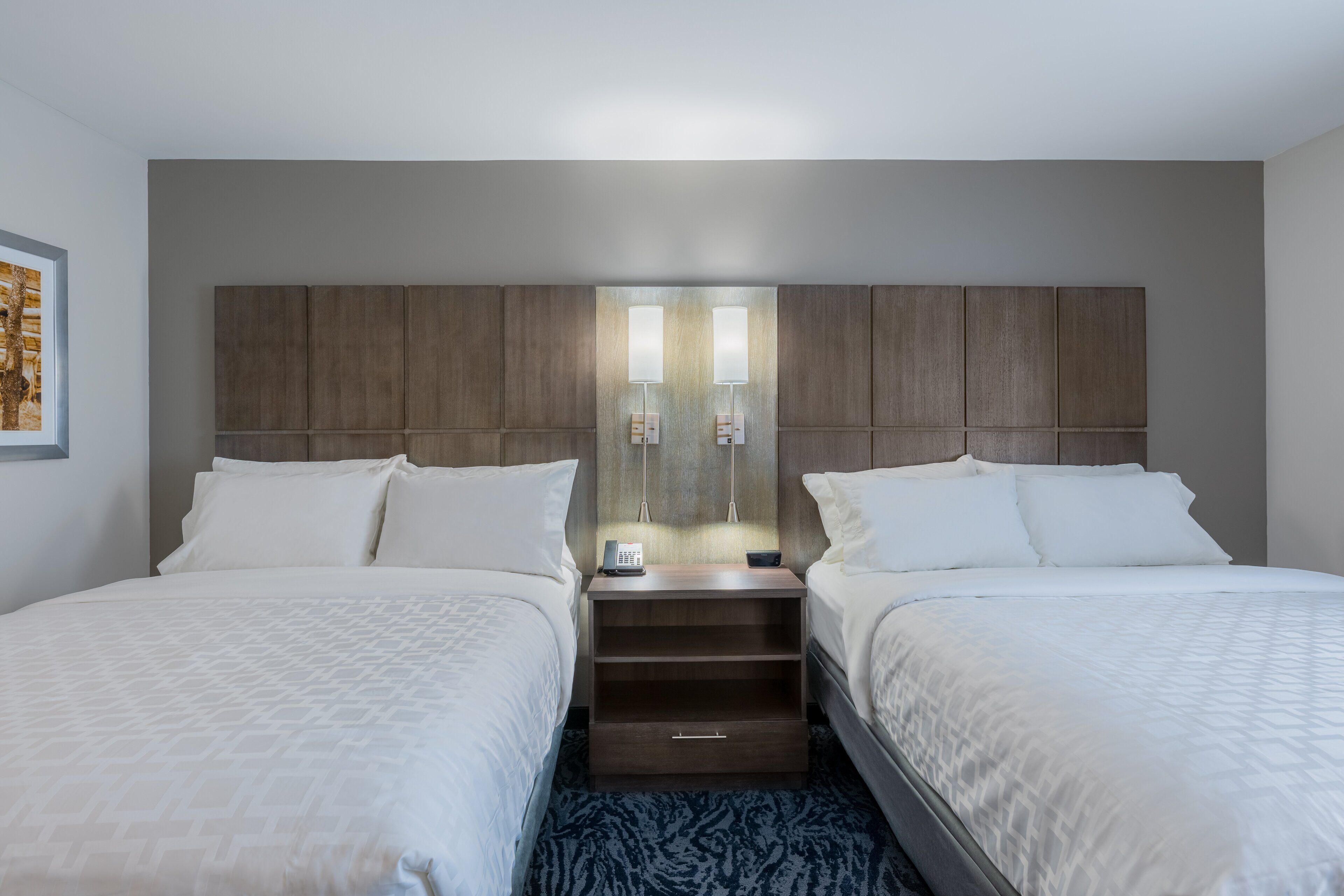 studio suite | 1 bedroom, desk, laptop workspace, blackout curtains