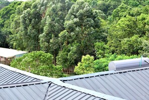 A building with a metal roof and a dense forest in the background. - Malava Forest Lodge (Kakamega)