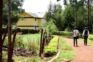 Property grounds - Malava Forest Lodge (Kakamega)