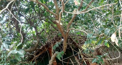 Kichakani Camp Masai Mara