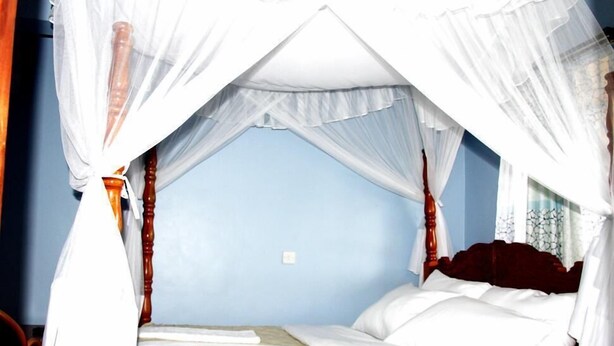 A bed with a canopy, a wooden headboard, and white bedding.