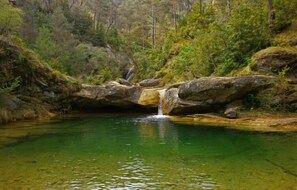 Servicios del alojamiento