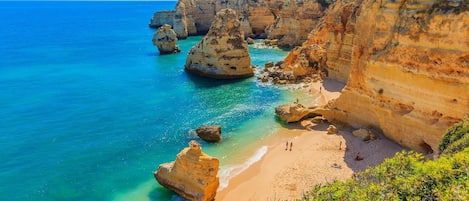 Beach nearby, scuba diving, windsurfing