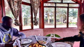 Un tavolo da pranzo imbandito, una finestra con tende e vista su degli alberi.