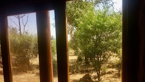 Una finestra con vista su un albero e una recinzione.