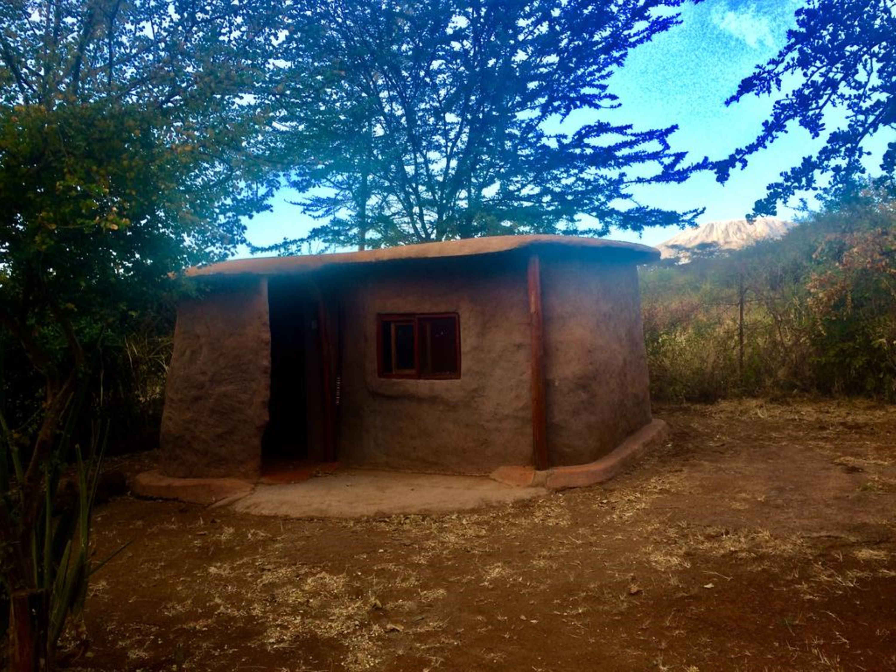 A small, rustic hut with a single door and window, surrounded by trees and a dirt ground.