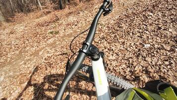 A bicycle with a 'BROWNSON' frame, a handlebar, and a rear derailleur.