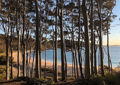 Carr Street Murramurang National Park