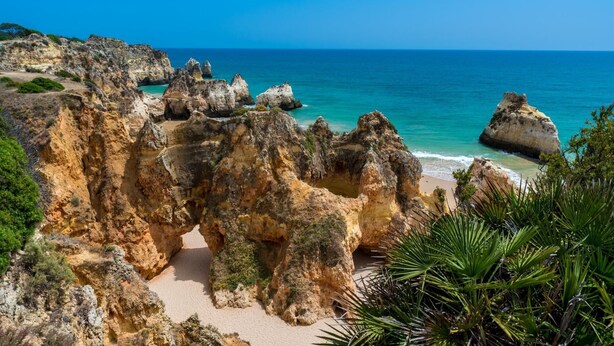 Apartment (1 Bedroom) | Floor plan - A15- Cliffside Beach Apartment by Dreamalgarve (Lagos)