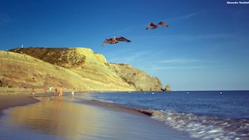 Apartamento (3 Bedrooms) | Plano