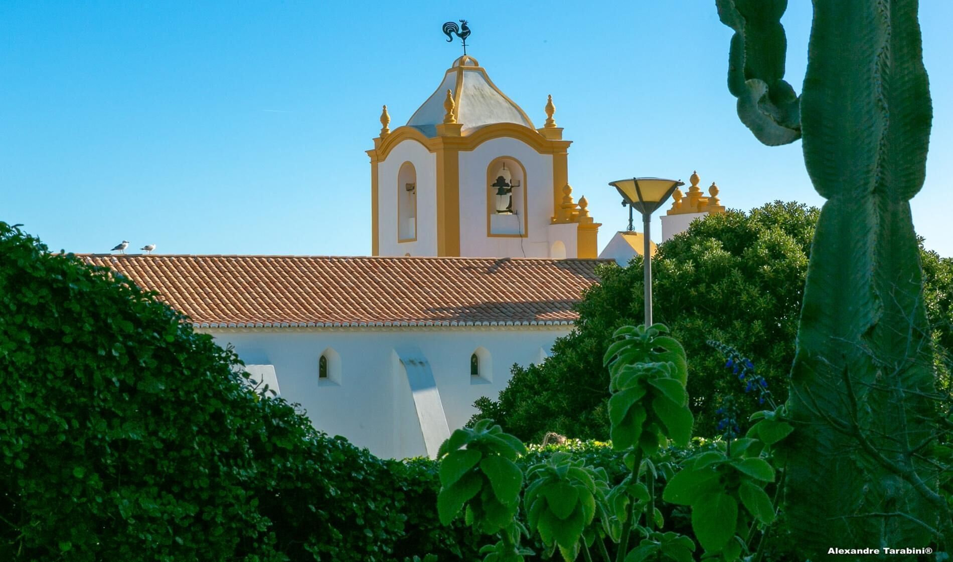 Una iglesia con un campanario y un reloj, rodeada de follaje.