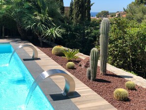 A pool with a modern design, surrounded by a variety of cacti and other desert plants. - The Address Cassis (Cassis)