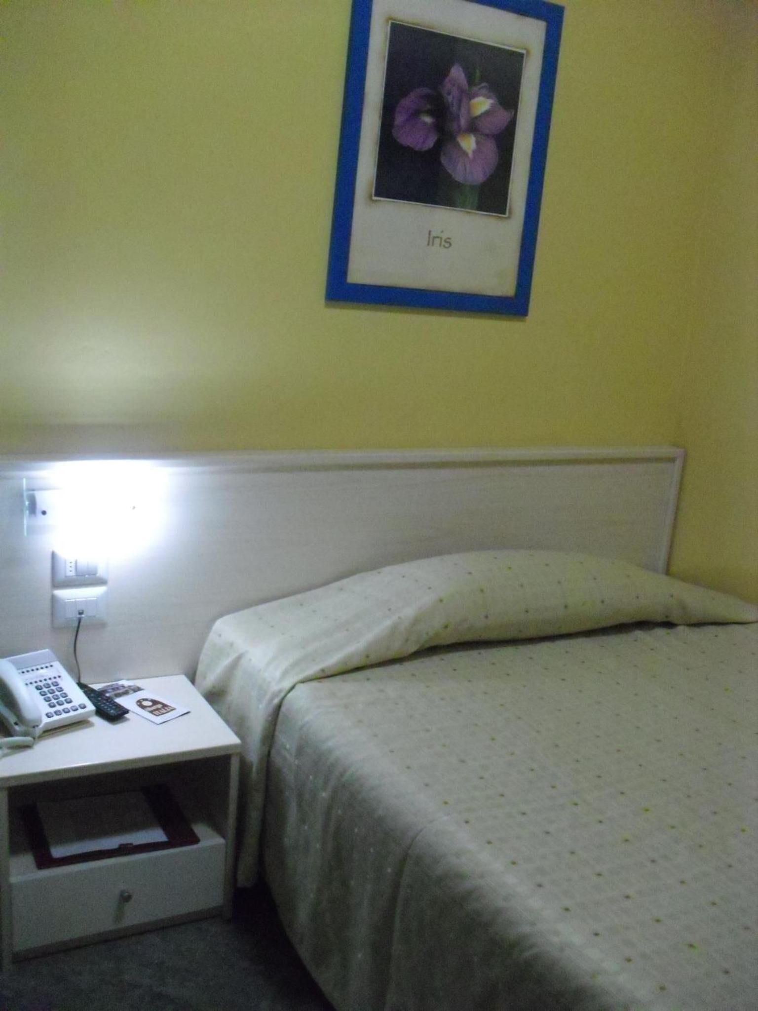 A hotel room with a bed, a nightstand with a phone and remote control, and a framed picture of an iris on the wall.