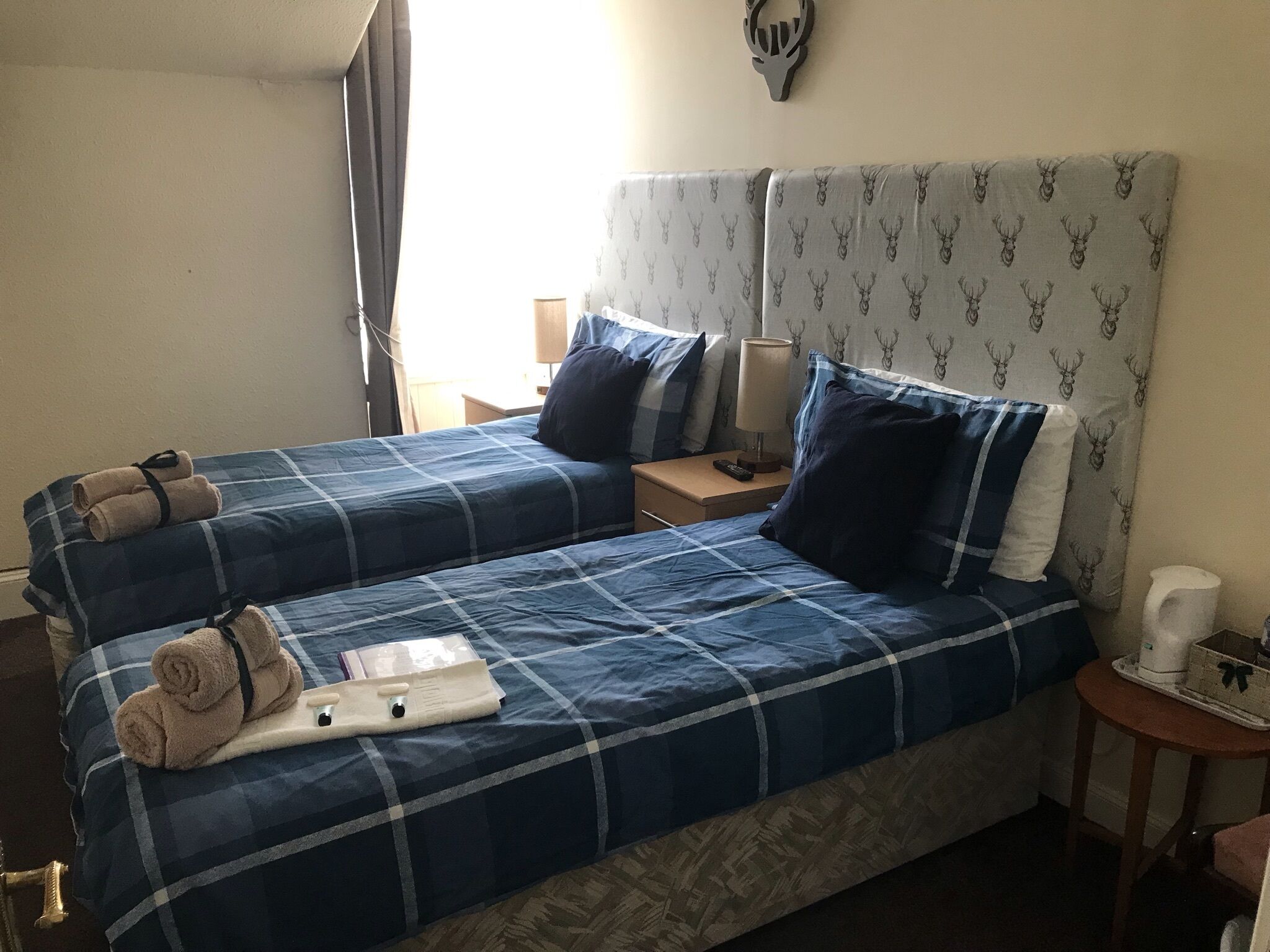 A double bed with blue and white checkered bedding, two pillows, a bedside table with a lamp, and a wall-mounted deer head decoration.