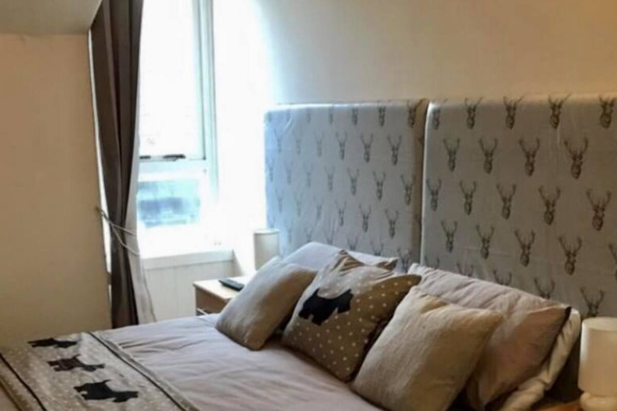 A hotel room with a bed, a nightstand, a lamp, and a window with curtains.
