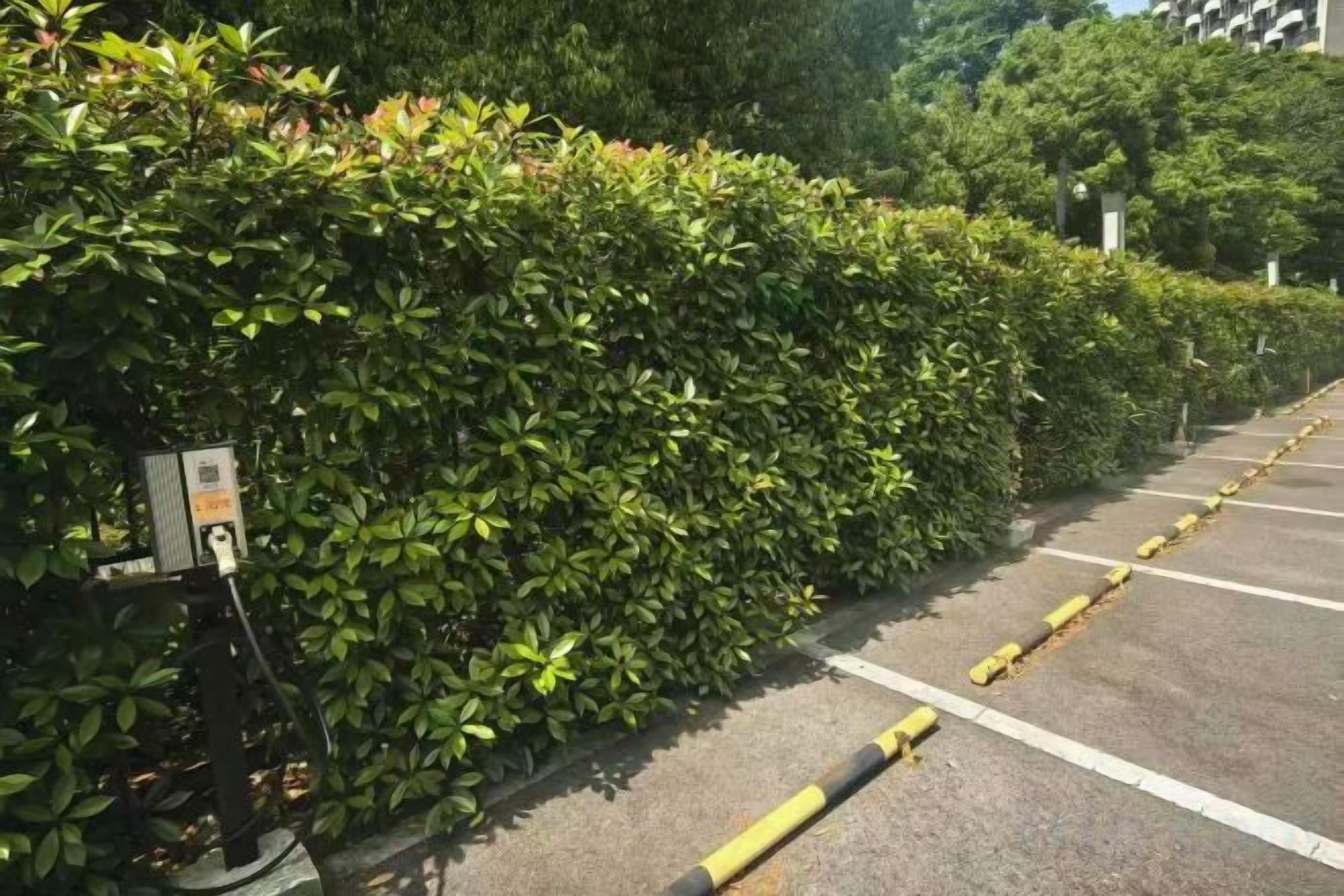 Zona d'aparcament al costat d'una tanca ben cuidada.