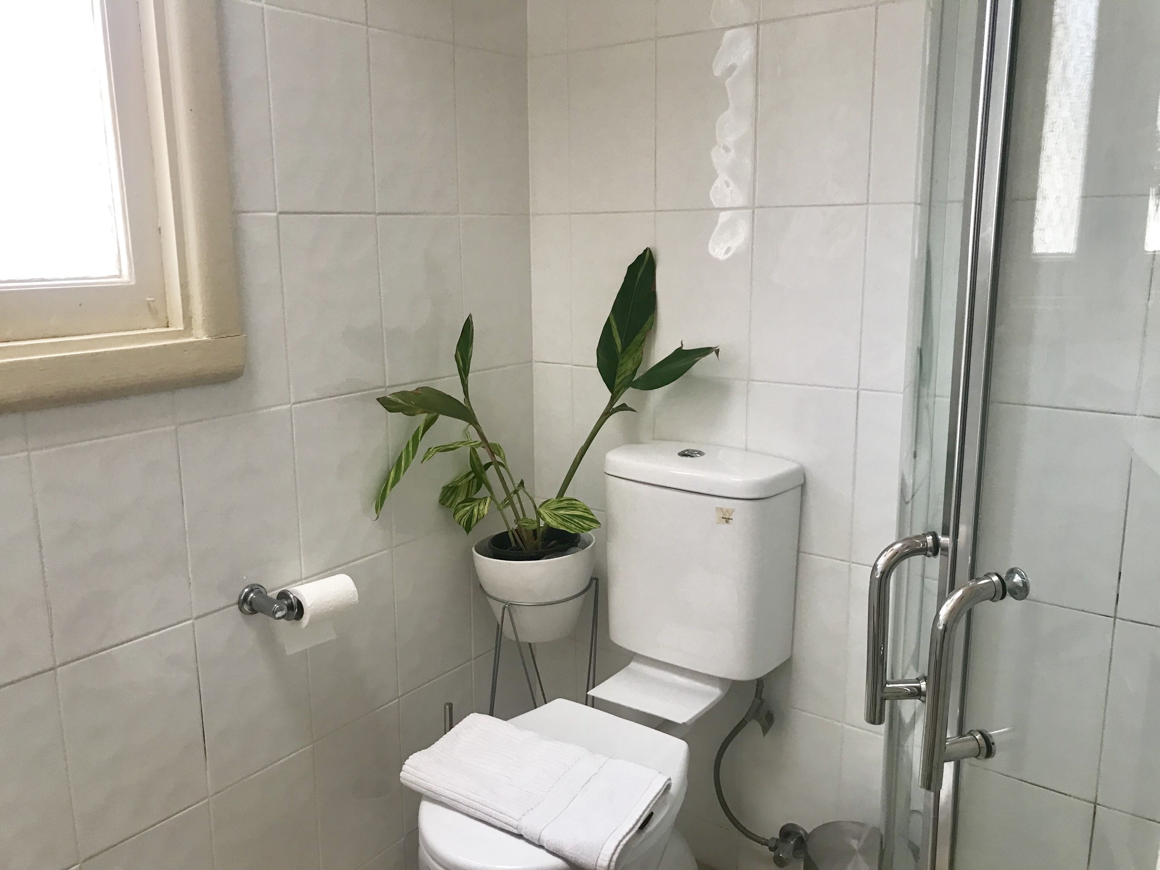 D115 Exquisite Natural Stay — image 5