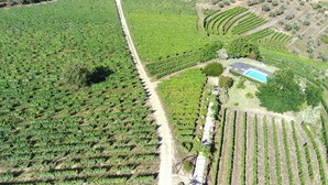 An aerial view of a vineyard with rows of grapevines, a dirt path, and a building with a pool. - Quinta da Cumieira (Santa Marta de Penaguião)