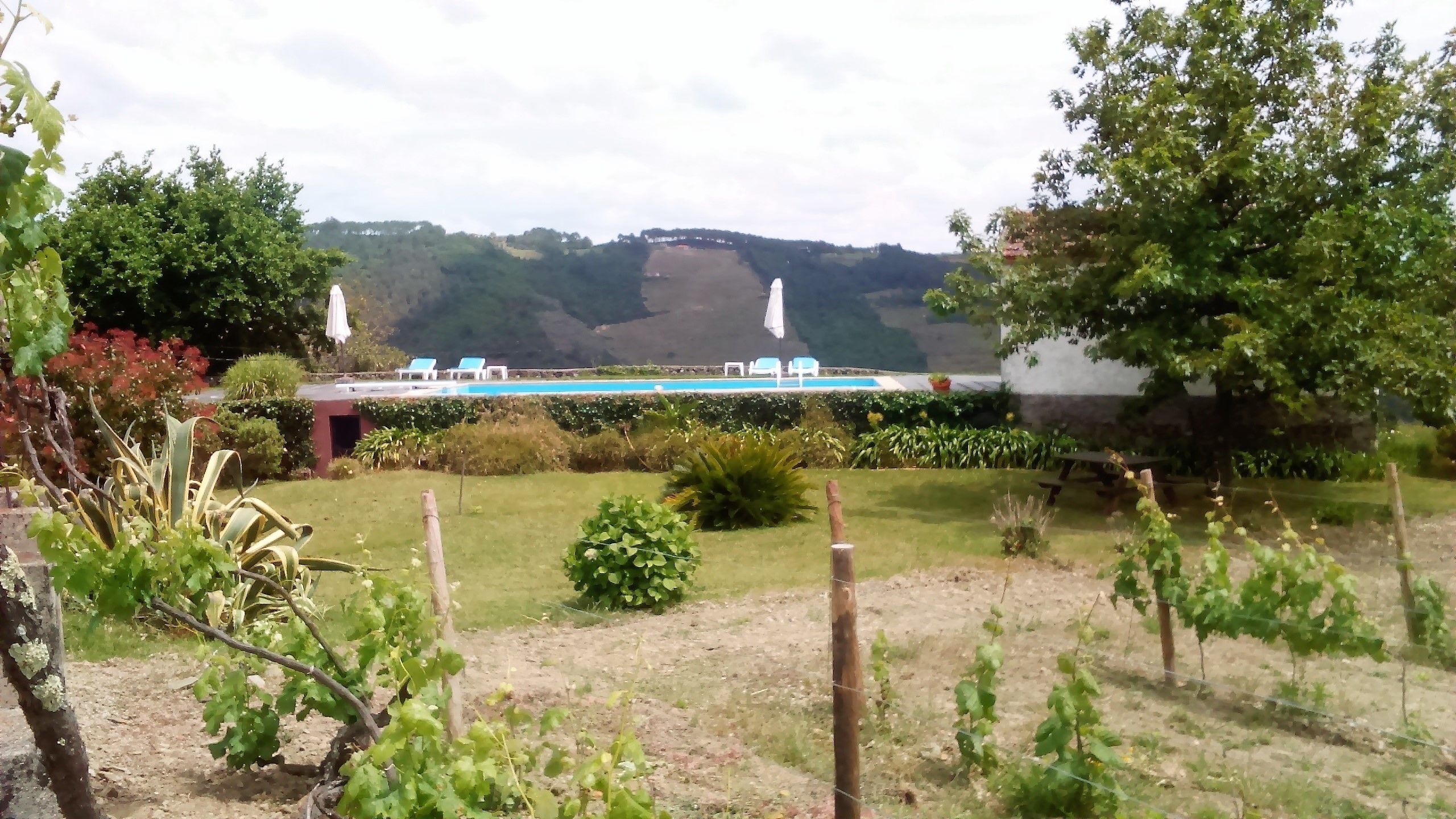 Foto - Quinta da Cumieira