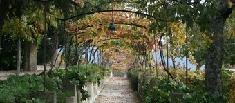 Quinta da Cumieira