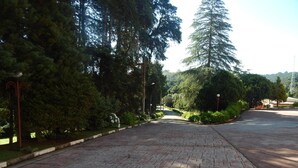 Un sendero pavimentado bordeado por árboles y arbustos frondosos, que conduce a un edificio de techo plano.