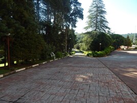 Área da propriedade