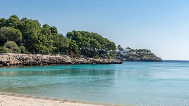 A beach with clear turquoise water, sandy shore, and a rocky cliff with trees and buildings. - Air-Conditioned Holiday Apartment "Bungalow Cala Dor 27" with Sea View and Pool (Cala D'or)