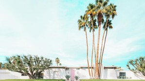 Una casa moderna con un ingresso centrale, circondata da palme e un prato curato.