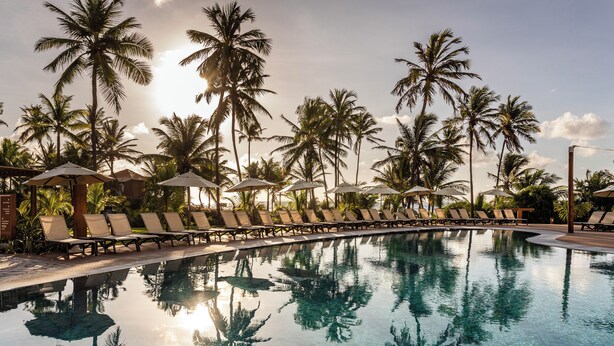 Een zwembadterras met ligbedden en parasols, omringd door palmbomen.