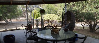 Serenity Farm/House Stay