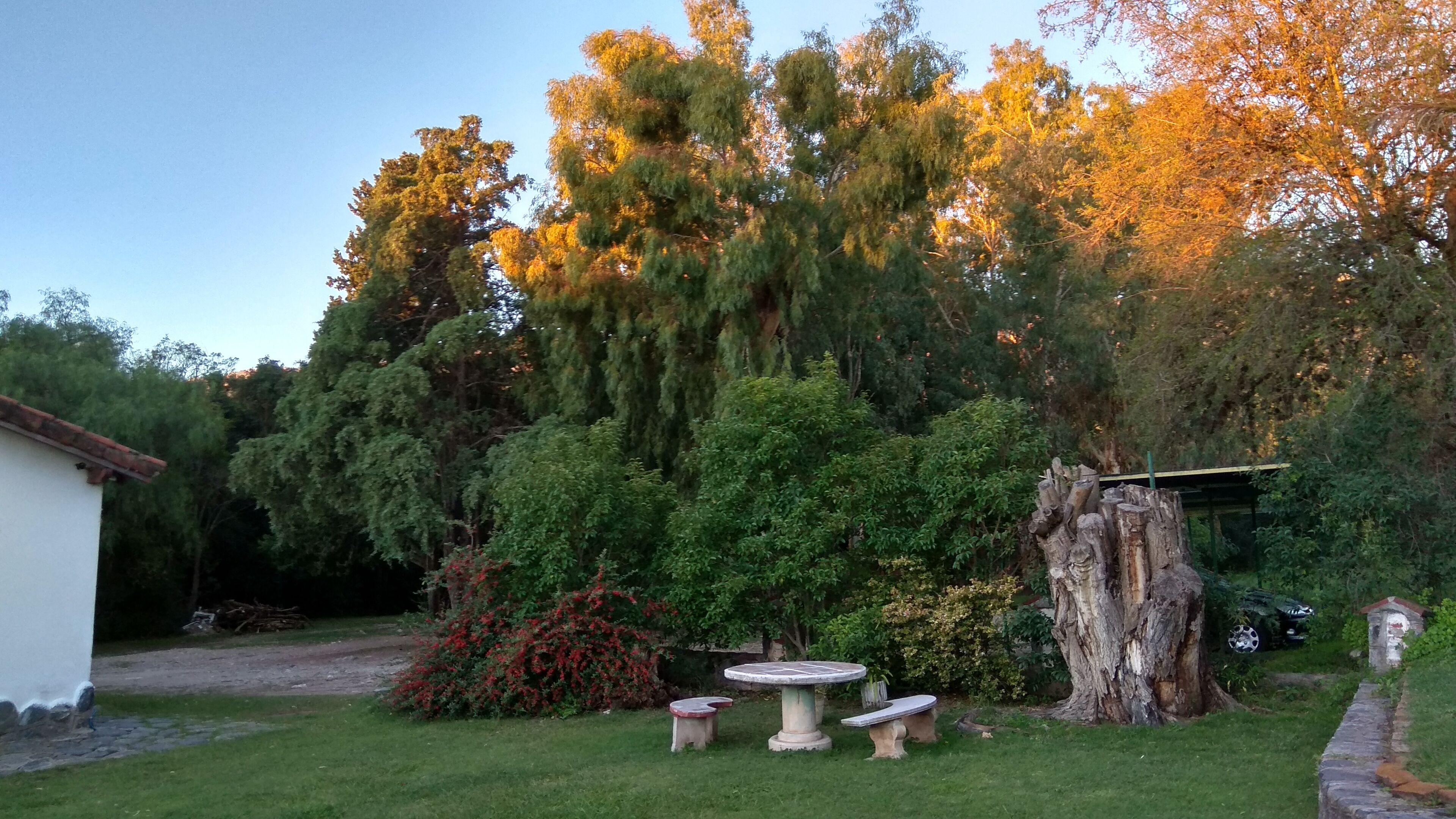 Un jardín con una mesa de piedra y bancos, rodeado de árboles y un edificio blanco.