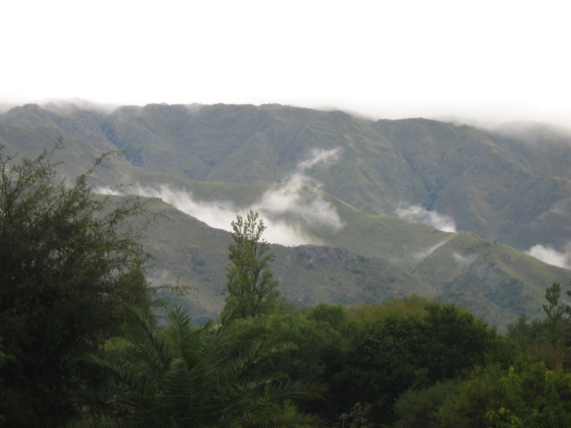 山景