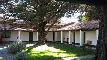 Un patio con un árbol grande, un edificio con tejado de tejas y un camino de piedra.