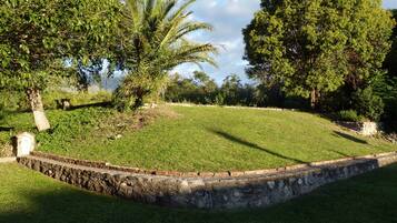 A landscaped garden with a stone retaining wall, a palm tree, and various shrubs.