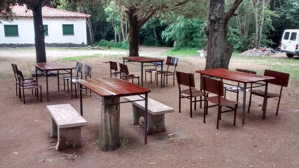 An outdoor dining area with multiple wooden tables and benches, surrounded by trees and a white building in the background.