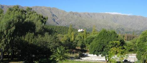 A park with green trees, a white building, and mountains in the background.
