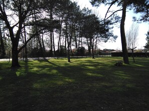 Stroll through the serene park surrounded by a variety of trees and a well-maintained lawn.