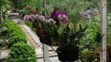 Overnattingsstedets uteområder