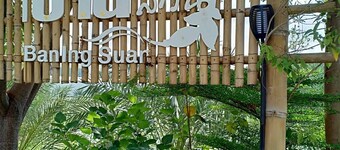 House with Garden View