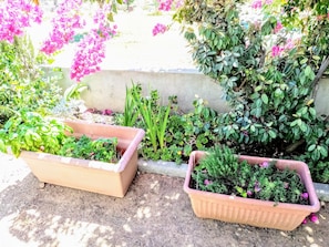 المنطقة المحيطة بالمنشأة