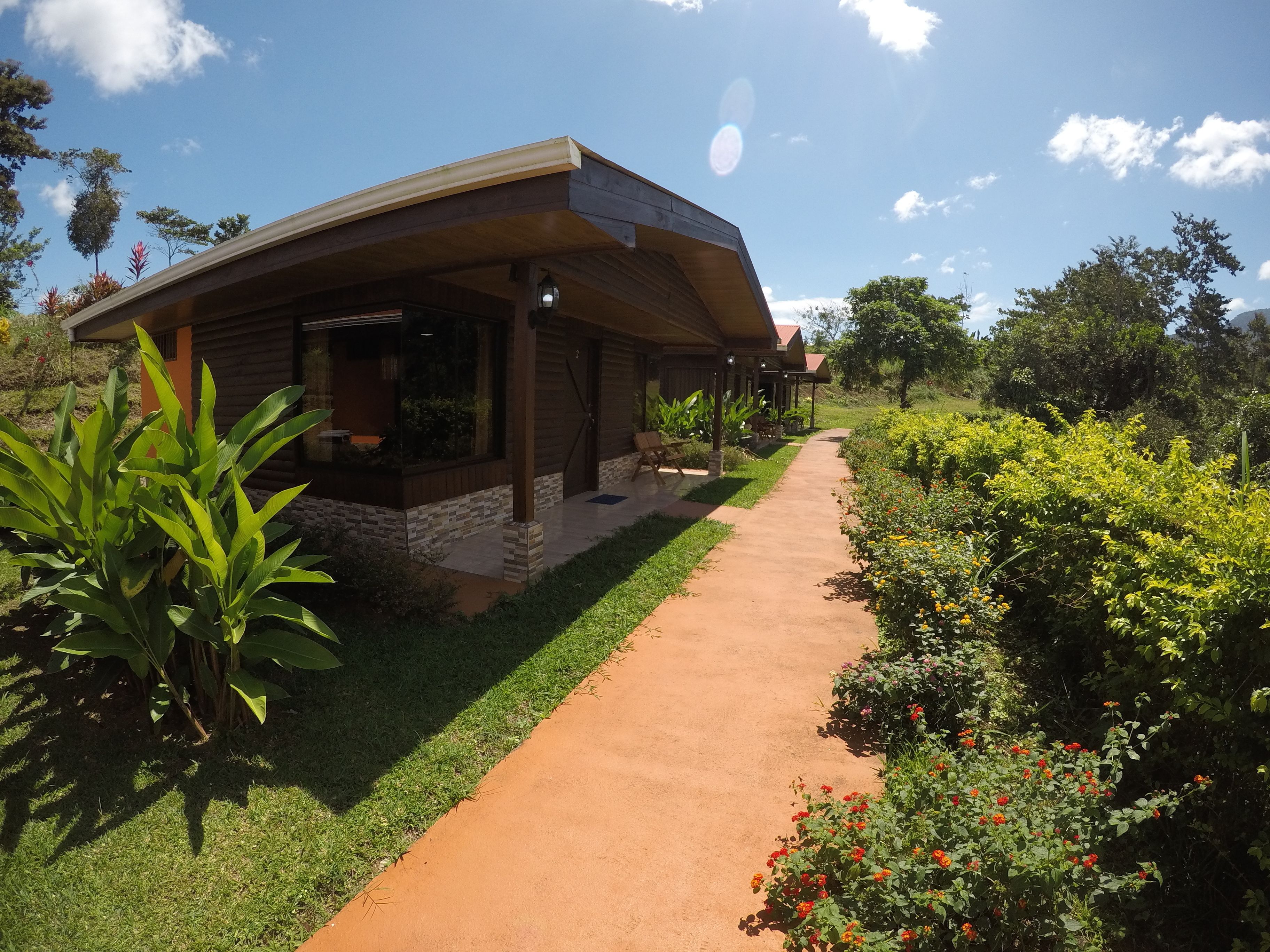 Una casa moderna con un porche cubierto, un sendero pavimentado y abundante vegetación.
