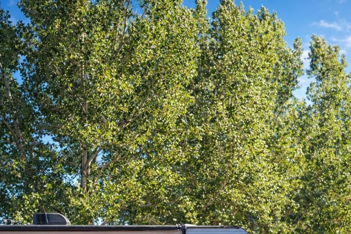 Luxury-Suite, Mehrere Betten, Nichtraucher, Bergblick | 2 Schlafzimmer, Allergikerbettwaren, individuell dekoriert