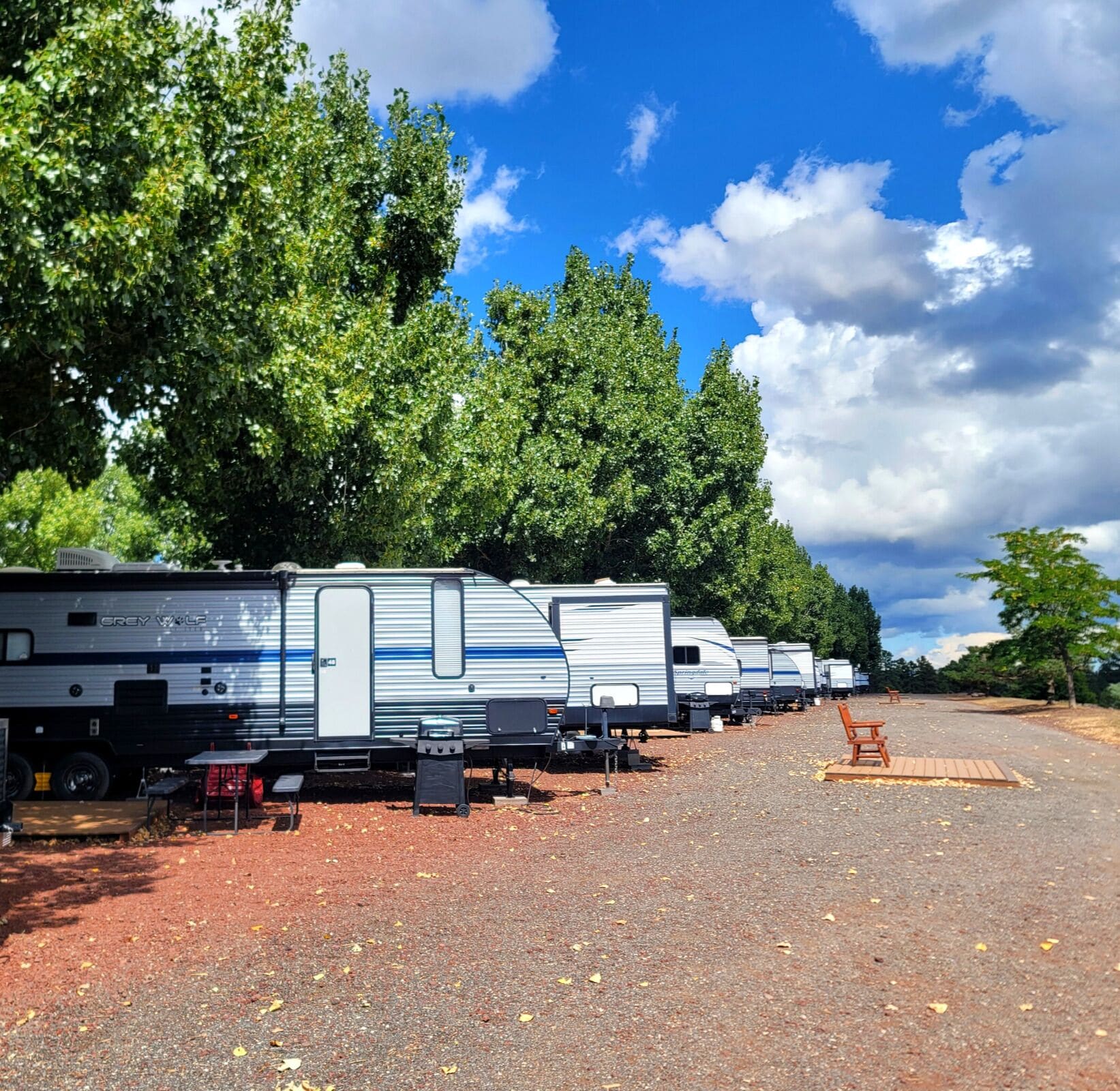 A row of RVs parked in a lot with trees in the background.