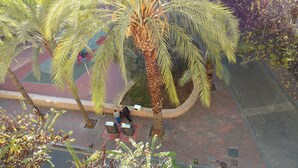 A palm tree-lined pathway with a brick-paved area and a small white structure. - Design, quality, tranquility, and very central (Alicante)