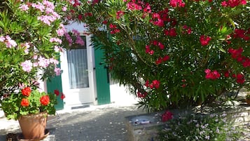 DĂ©tail de lâextĂ©rieur